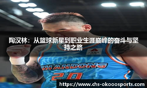 陶汉林：从篮球新星到职业生涯巅峰的奋斗与坚持之路